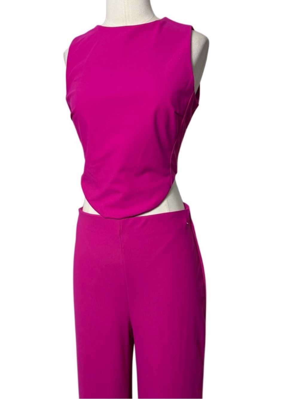 House of Harlow 1960 Pink Pant Set